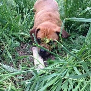 Meet your Posher, Erica